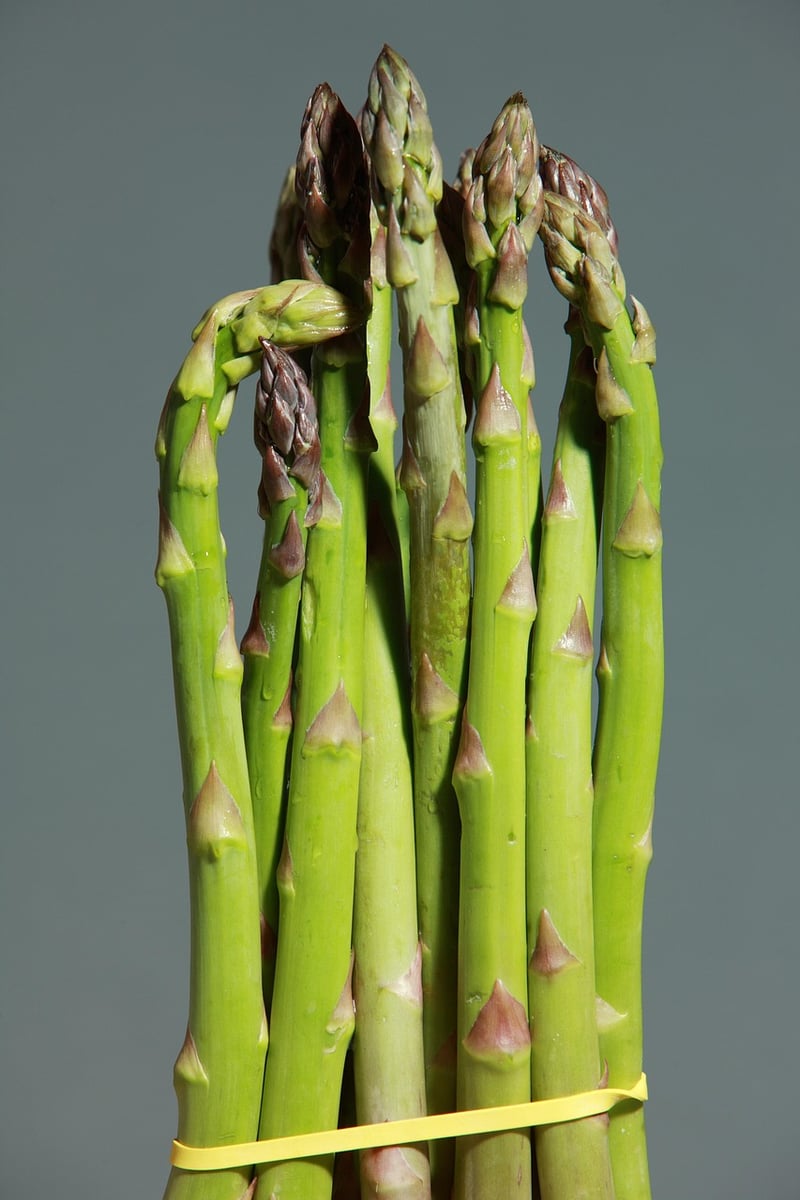 Fresh asparagus for cooking